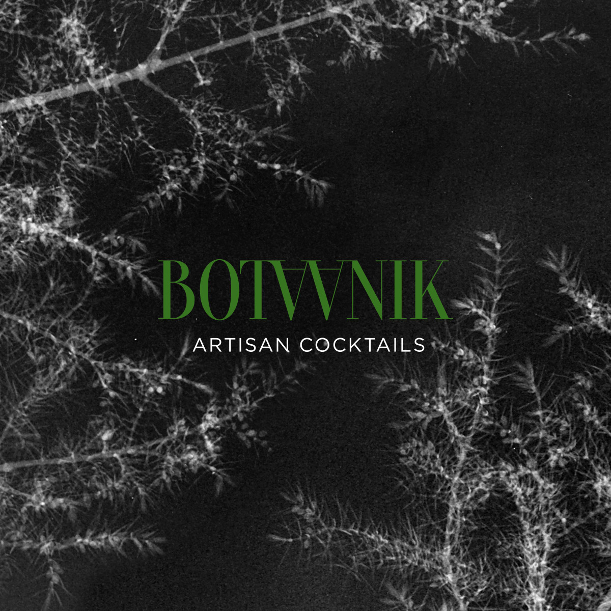 Botaanik